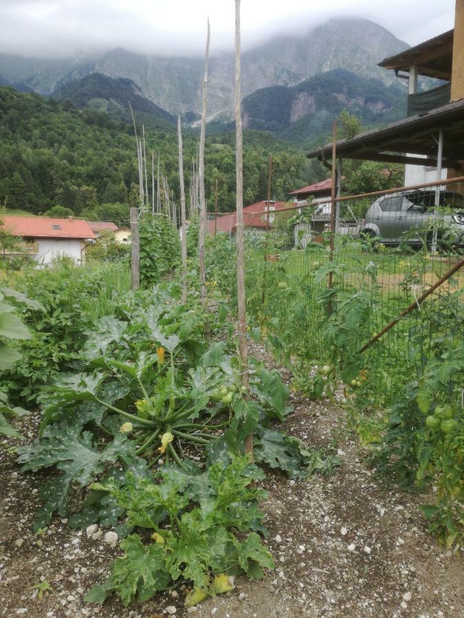 Apartma Vilma 科巴里德 外观 照片