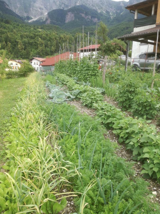 Apartma Vilma 科巴里德 外观 照片